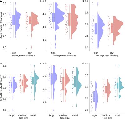 Tree Size Drives Diversity and Community Structure of Microbial Communities on the Bark of Beech (Fagus sylvatica)